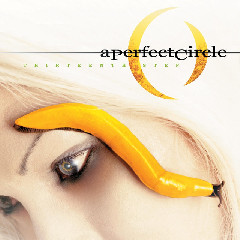 A Perfect Circle - The Noose Mp3