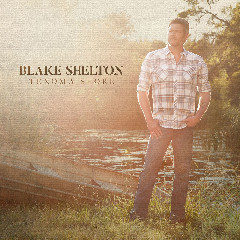 Blake Shelton - I Lived It Mp3